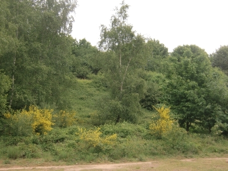 Moers : Wanderung rund um den Waldsee 